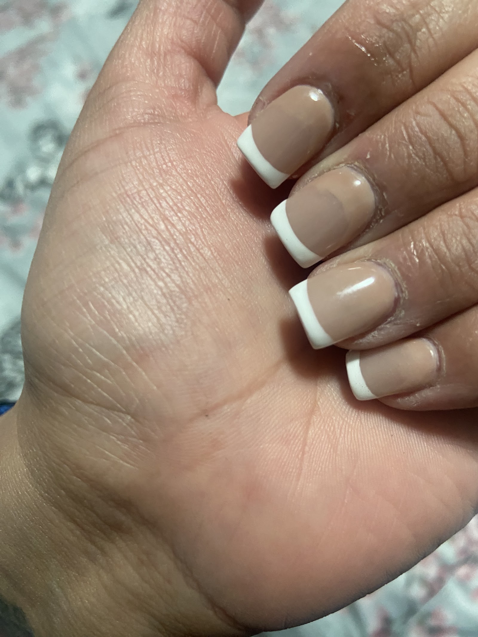 Orchid Nails & Spa 20% Off nail work in Northglenn, Colorado